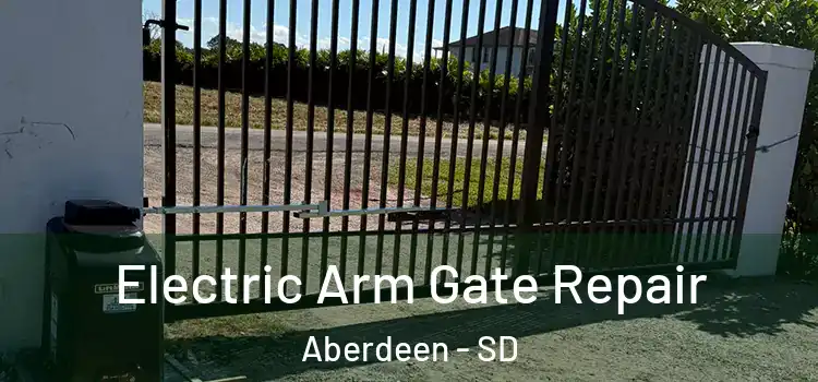  Electric Arm Gate Repair Aberdeen - SD