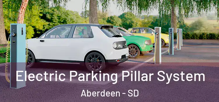 Electric Parking Pillar System Aberdeen - SD